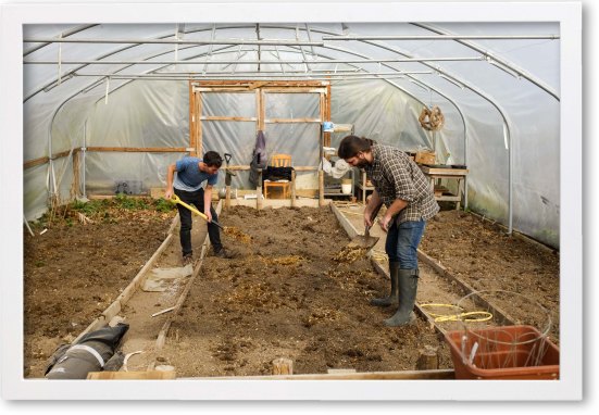 Inside the Polytunnel